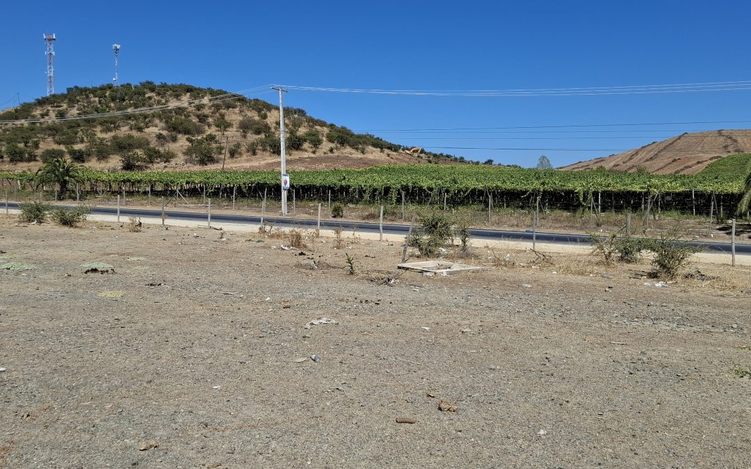 Terrenos a orilla de carretera H66 El Manzano Las Cabras