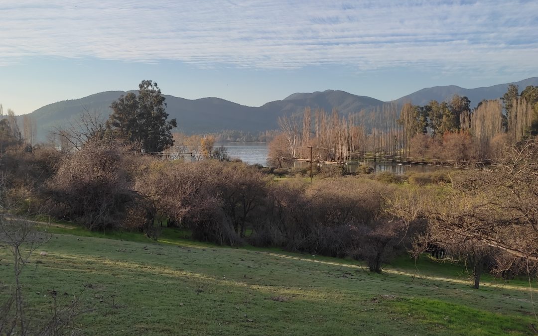 Campo 11 hectáreas frente al Lago Rapel