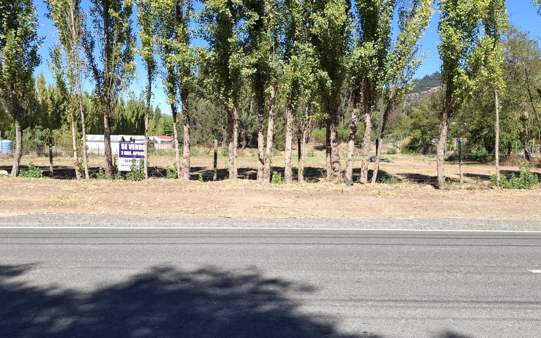 Terreno 2 Hectáreas aproximadas Ruta H780 cerca de Rapel